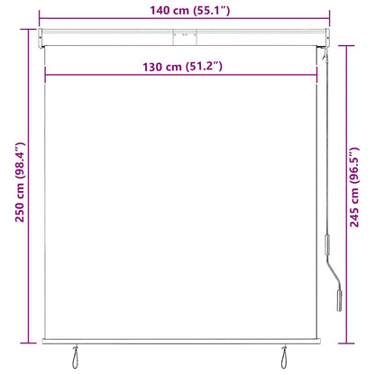 vidaXL Store extérieur 140x250 cm Anthracite