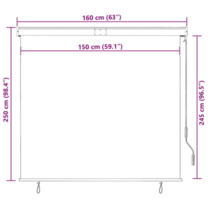 vidaXL Store d'extérieur 160x250 cm Bleu et blanc