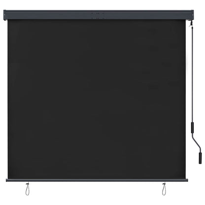 vidaXL Außenrollo 160x250 cm Anthrazit