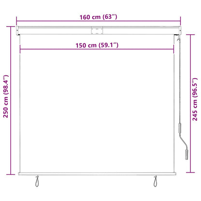 vidaXL Außenrollo 160x250 cm Anthrazit