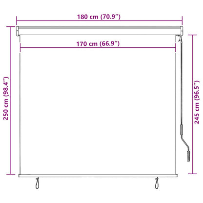 vidaXL Außenrollo 170 x 250 cm Creme