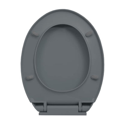 Toilettensitz mit Absenkautomatik Grau Oval