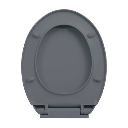 Toilettensitz mit Absenkautomatik Quick-Release Grau Oval