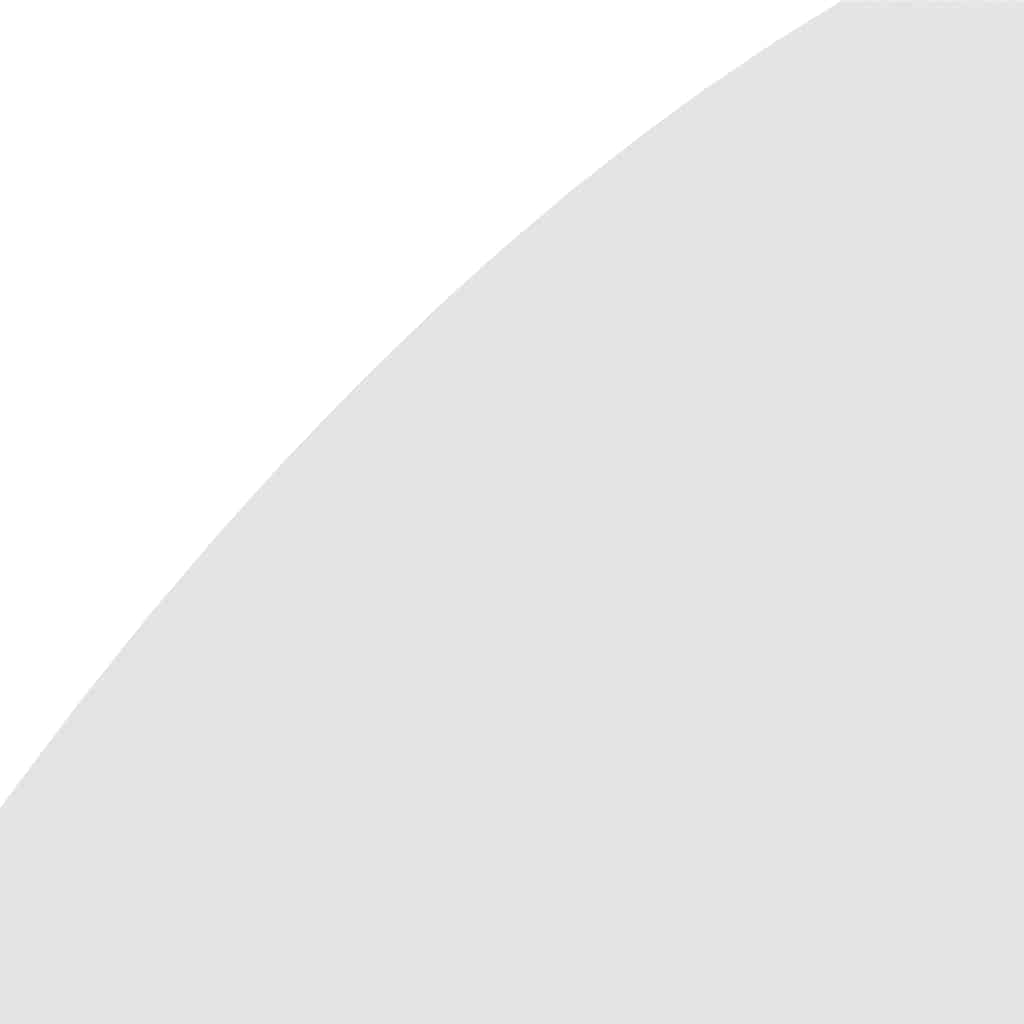 Spiegel 40x20 cm Glas