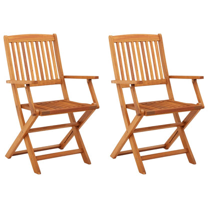 vidaXL Chaises de jardin pliables 2 pcs. Bois d'eucalyptus massif