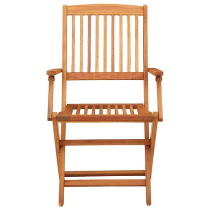vidaXL Chaises de jardin pliables 2 pcs. Bois d'eucalyptus massif
