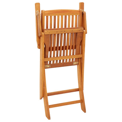 vidaXL Chaises de jardin pliables 2 pcs. Bois d'eucalyptus massif
