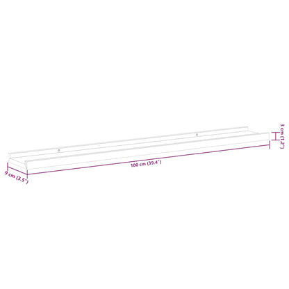 vidaXL Wandregale 2 Stk. Schwarz 100x9x3 cm