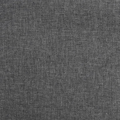 vidaXL Schlafsofa 2-Sitzer mit 2 Kissen Dunkelgrau Stoff