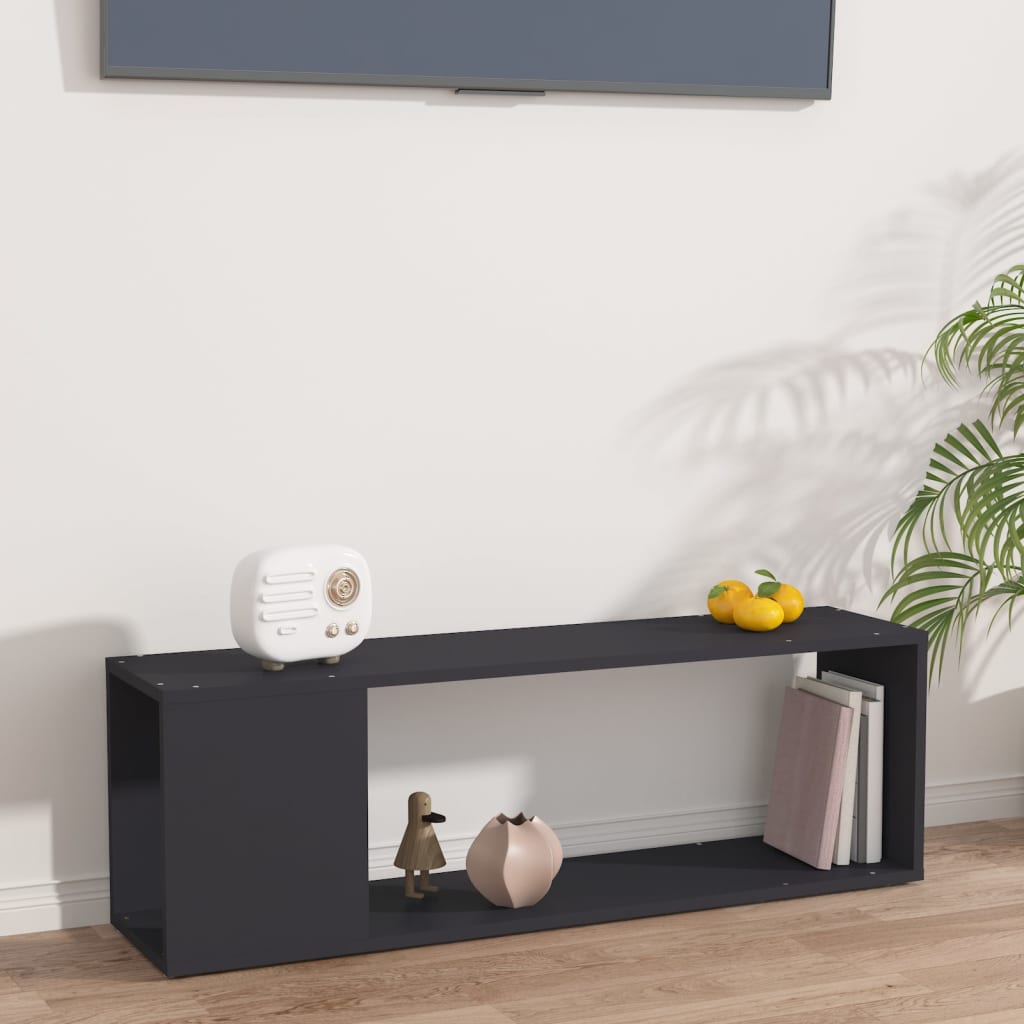 vidaXL TV-Schrank Grau 100x24x32 cm Holzwerkstoff