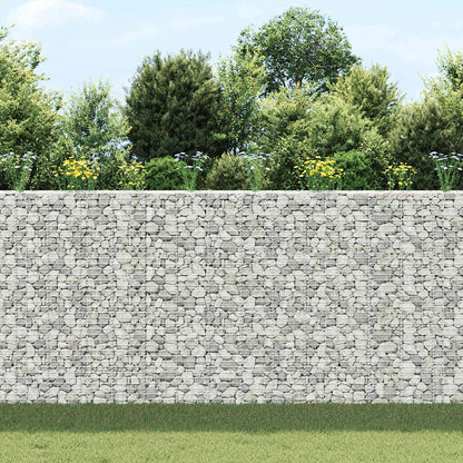 vidaXL Gabionen-Hochbeete 3 Stk. 30x30x200 cm Eisen