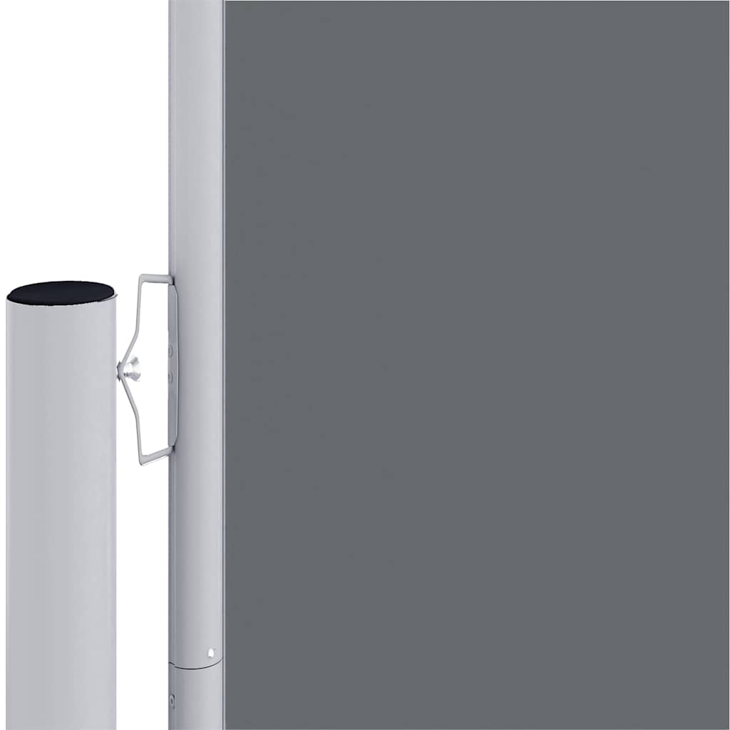 vidaXL Seitenmarkise Ausziehbar Anthrazit 220x1000 cm
