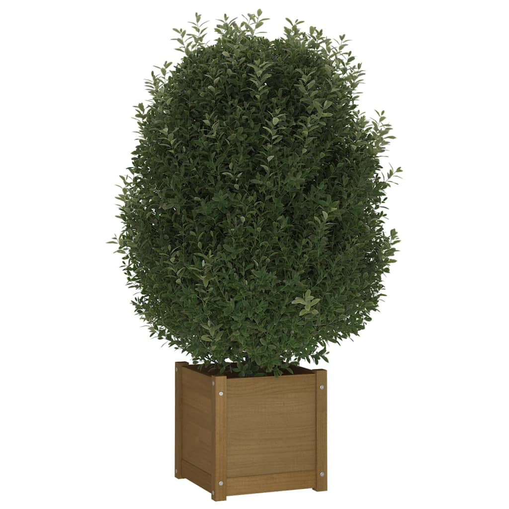 vidaXL Jardinière Bois de Pin Massif Marron Miel 40x40x40 cm