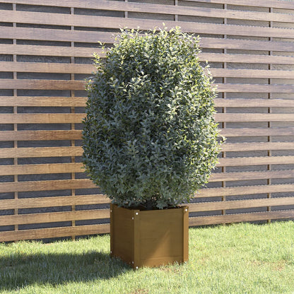 vidaXL Jardinière Bois de Pin Massif Marron Miel 40x40x40 cm