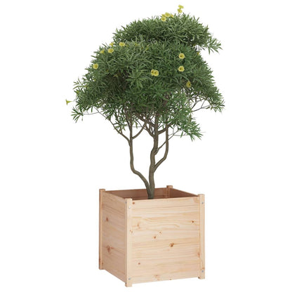 vidaXL Jardinières 2 pcs 60x60x60 cm Bois de pin massif