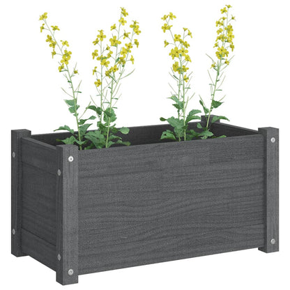 vidaXL Jardinière Gris 60x31x31 cm Bois de pin massif