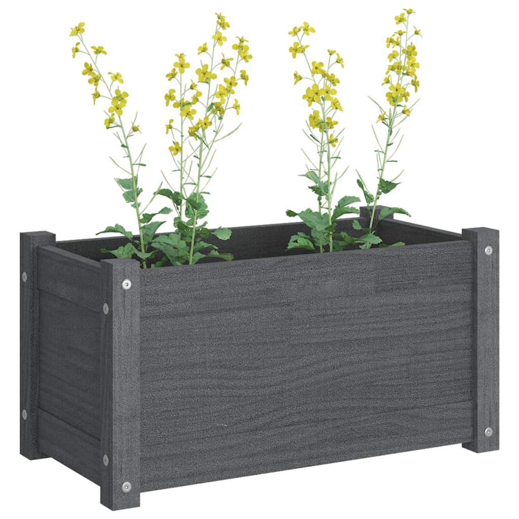 vidaXL Jardinières 2 pcs Gris 60x31x31 cm Bois de pin massif
