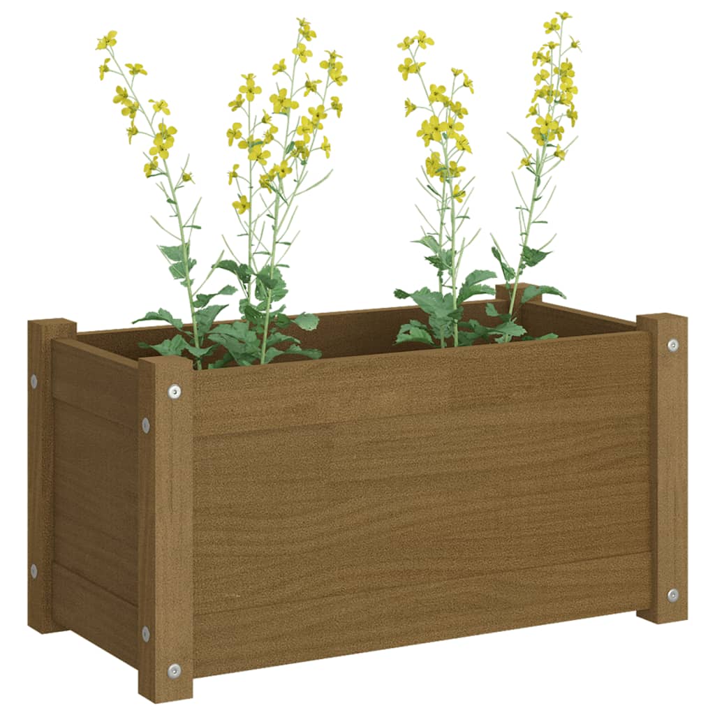 vidaXL Jardinière Bois de Pin Massif Marron Miel 60x31x31 cm