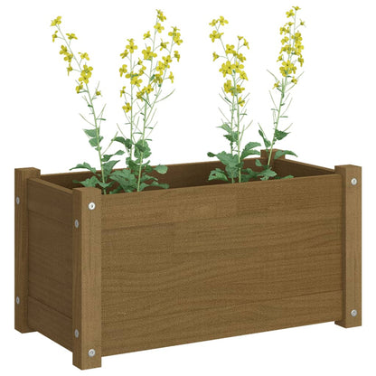 vidaXL Jardinières 2 pcs Marron miel 60x31x31 cm Bois de pin massif