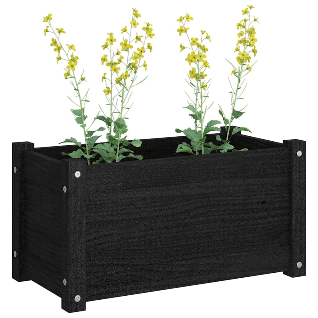 vidaXL Jardinière noire 60x31x31 cm Pin massif