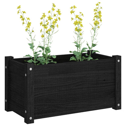 vidaXL Jardinière noire 60x31x31 cm Pin massif