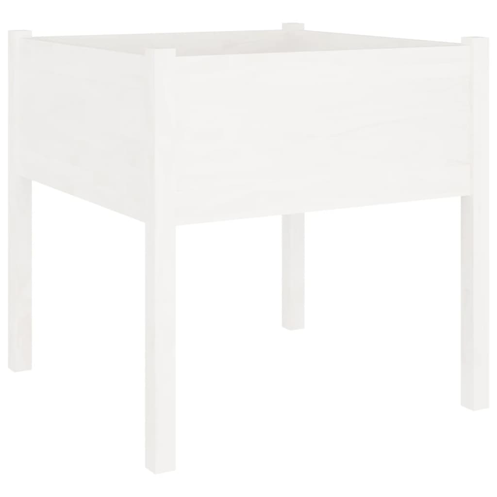 vidaXL Jardinière Blanc 70x70x70 cm Pin Massif