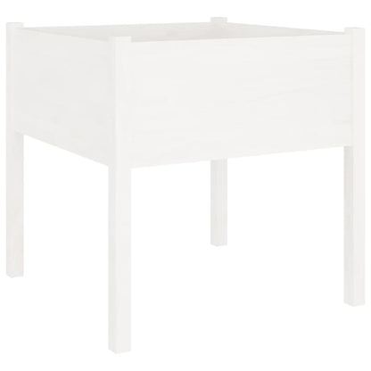 vidaXL Jardinière Blanc 70x70x70 cm Pin Massif