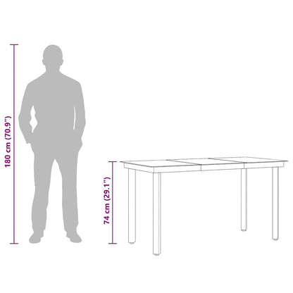 vidaXL Garten-Esstisch Schwarz 140x70x74 cm Stahl und Glas