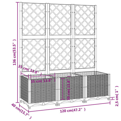 vidaXL Garten-Pflanzgefäß mit Spalier Schwarz 120 x 40 x 136 cm PP