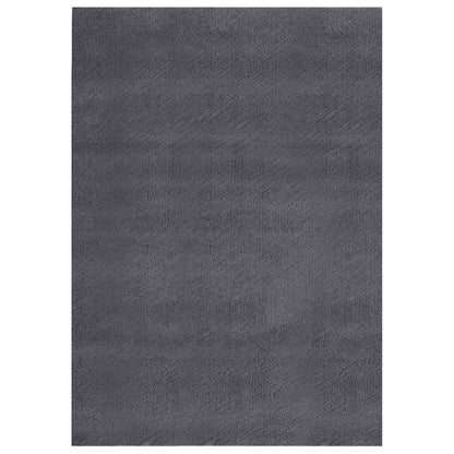 vidaXL Teppich Waschbar Flauschig Kurzflor 160x230 Rutschfest Anthrazi