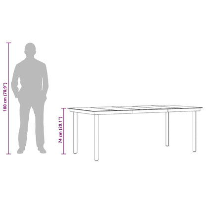 vidaXL Garten-Esstisch Schwarz 200x100x74 cm Stahl und Glas