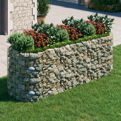 vidaXL Carré potager en gabions Acier galvanisé 300x100x100 cm