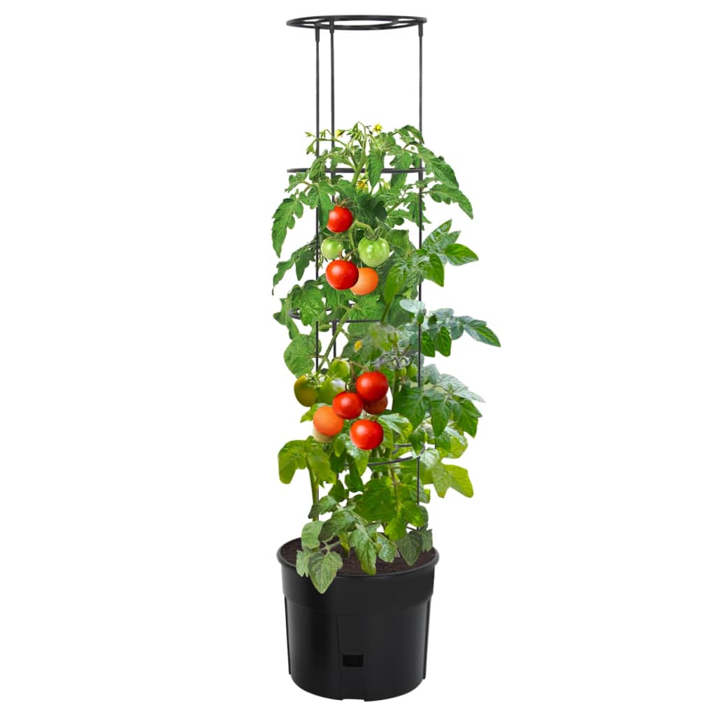 vidaXL Jardinière à tomates anthracite Ø39x150 cm Polypropylène