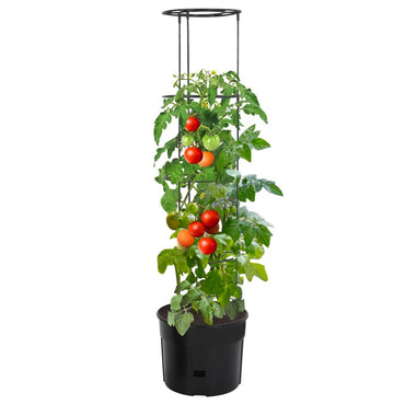 vidaXL Jardinière à tomates anthracite Ø39x150 cm Polypropylène