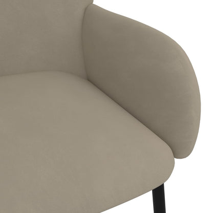 vidaXL Chaises de salle à manger 2 pcs Velours gris clair