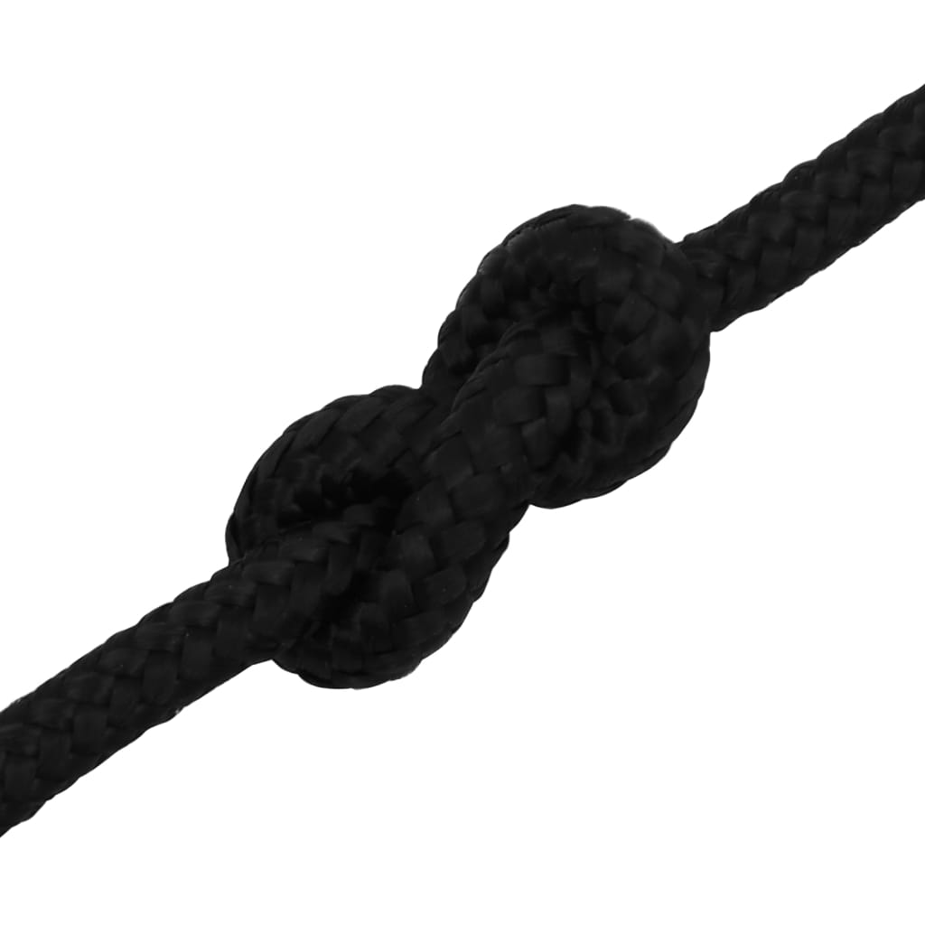 vidaXL Arbeitsseil Schwarz 8 mm 25 m Polyester