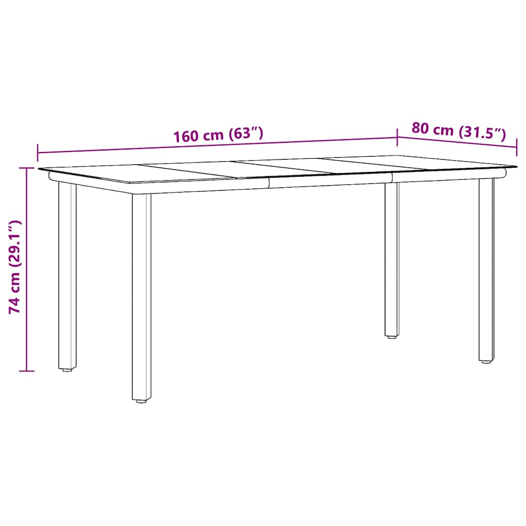 vidaXL Garten-Esstisch Schwarz 160x80x74 cm Stahl und Hartglas