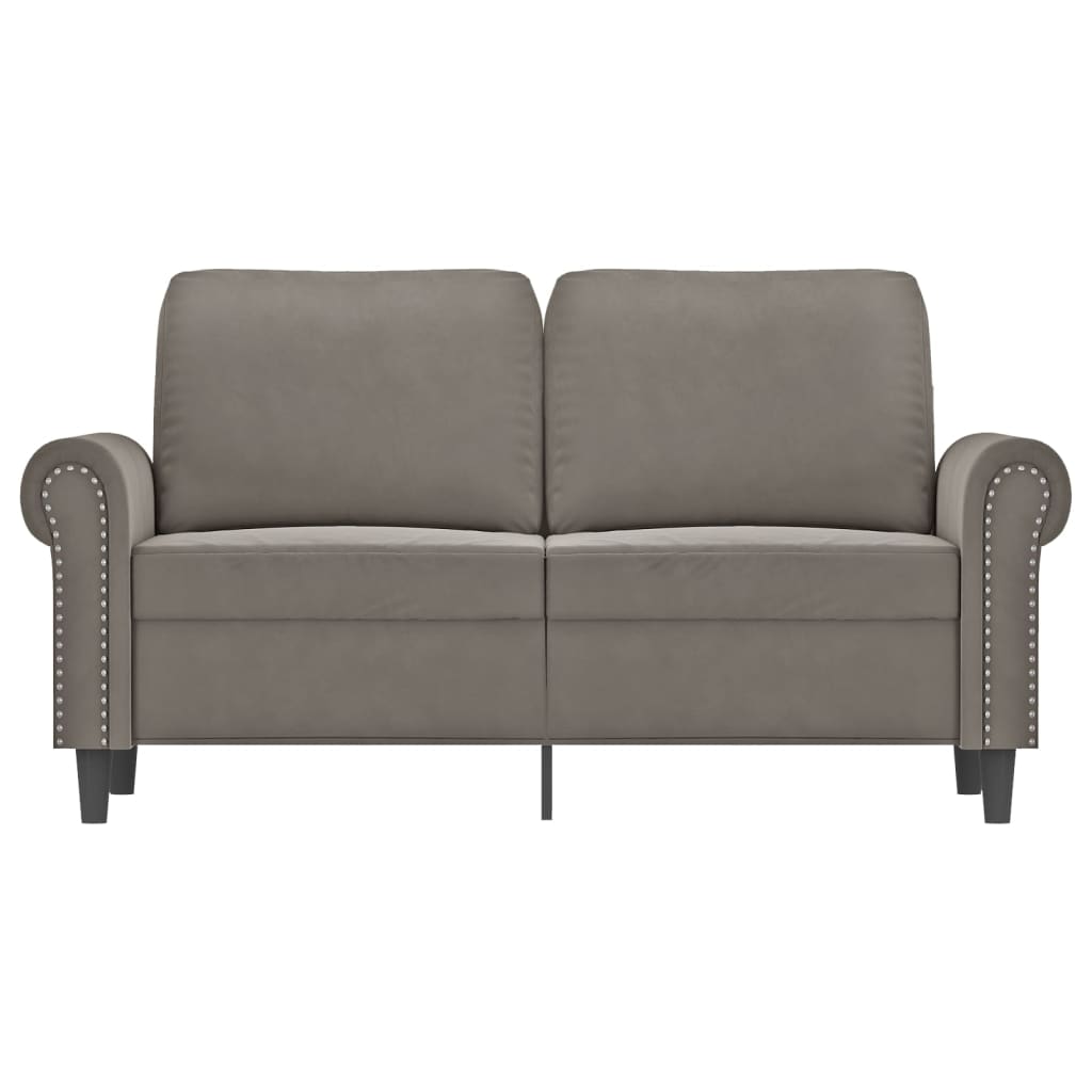 vidaXL 2-Sitzer-Sofa Hellgrau 120 cm Samt