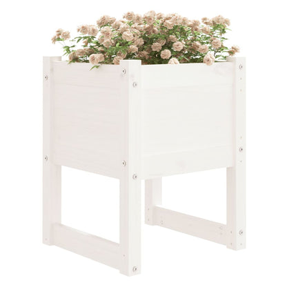 vidaXL Jardinières 2 pcs Blanc 40x40x52,5 cm Pin massif