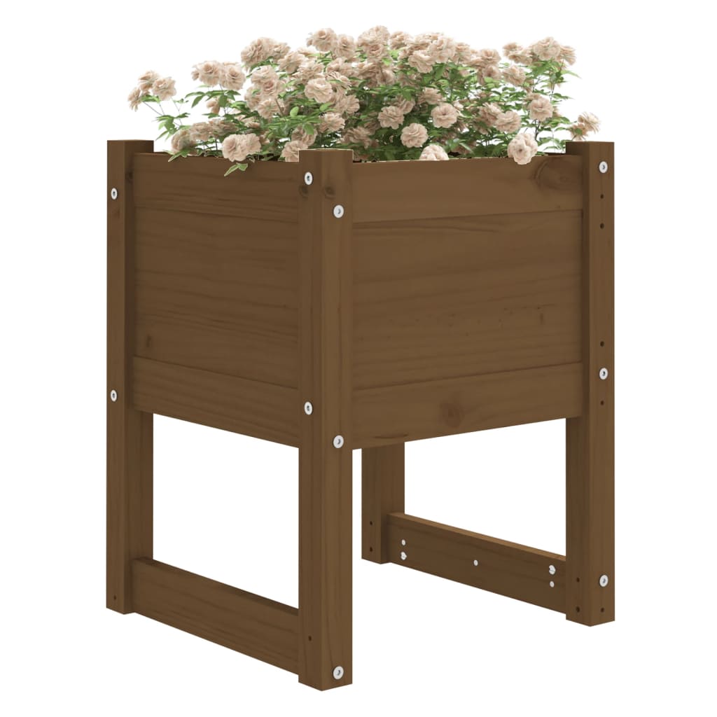 vidaXL Jardinière Bois de Pin Massif Marron Miel 40x40x52,5 cm
