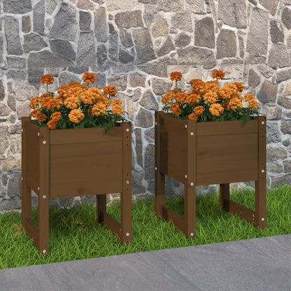 vidaXL Jardinières 2 pcs Marron miel 40x40x52,5 cm Bois de pin massif