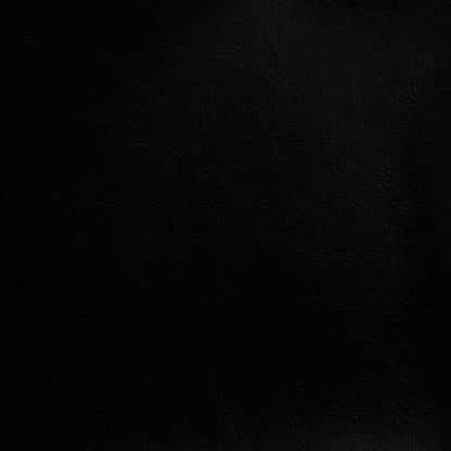 vidaXL Clubsessel Schwarz Kunstleder