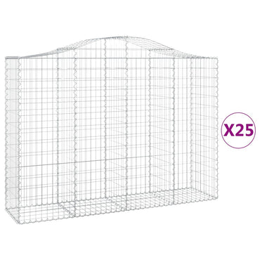 vidaXL Gabionen mit Hochbogen 25Stk. 200x50x140/160cm Verzinktes Eisen