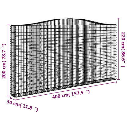 vidaXL Gabionen mit Hochbogen 6 Stk. 400x30x200/220cm Verzinktes Eisen
