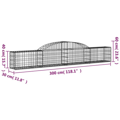 vidaXL Gabionen mit Hochbogen 25 Stk. 300x30x40/60 cm Verzinktes Eisen
