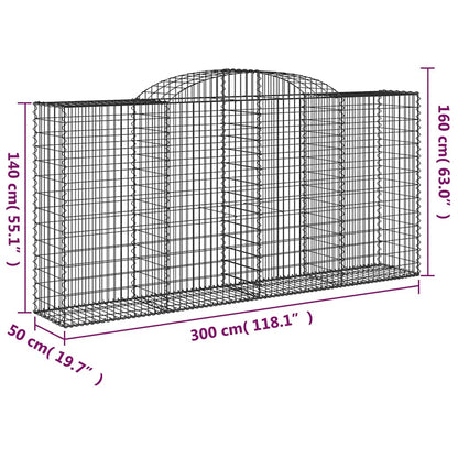 vidaXL Gabionen mit Hochbogen 2 Stk. 300x50x140/160cm Verzinktes Eisen