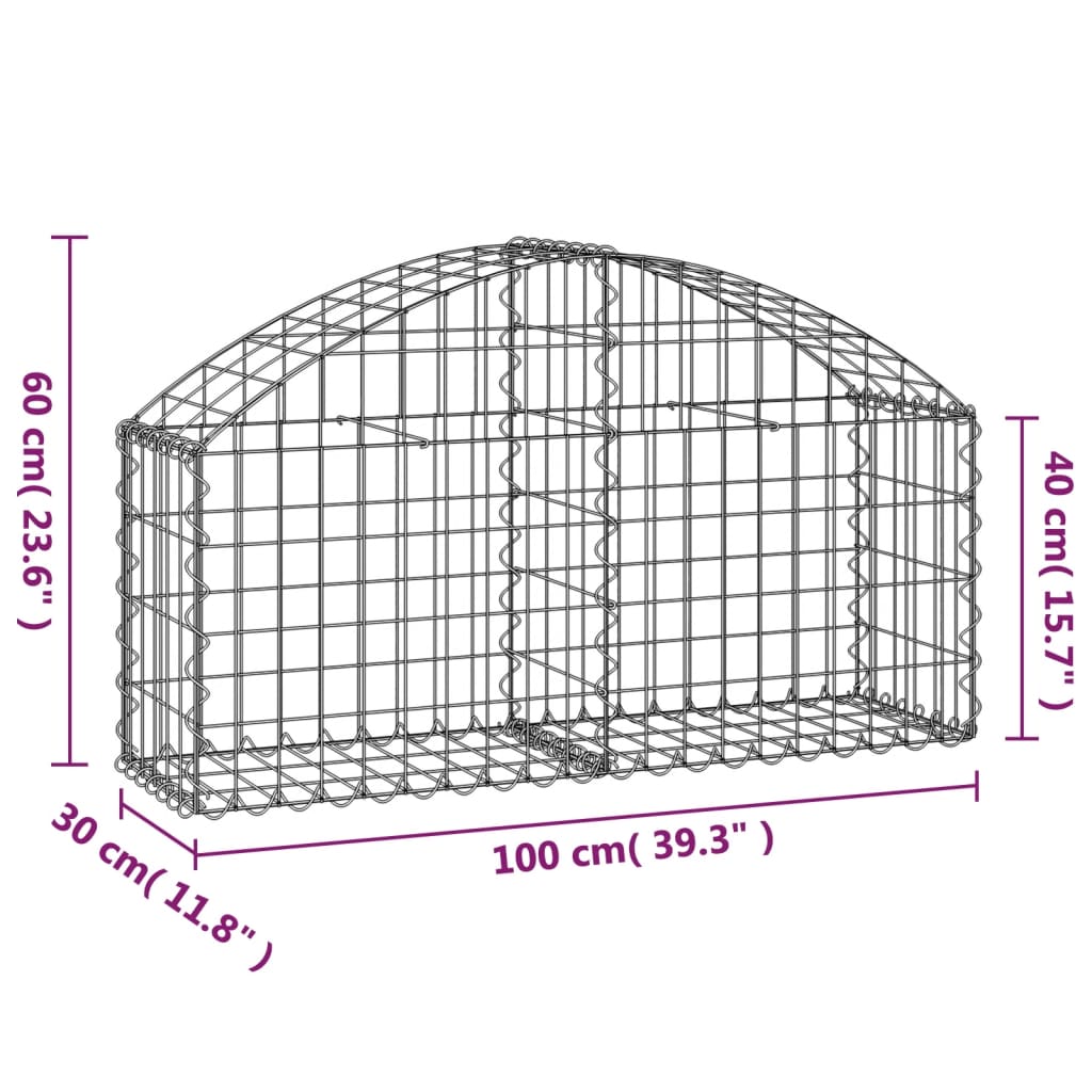 vidaXL Gabione mit Hochbogen 100x30x40/60 cm Verzinktes Eisen