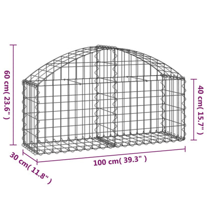 vidaXL Gabione mit Hochbogen 100x30x40/60 cm Verzinktes Eisen