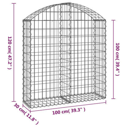 vidaXL Gabion en arc 100x30x100/120 cm Fer galvanisé