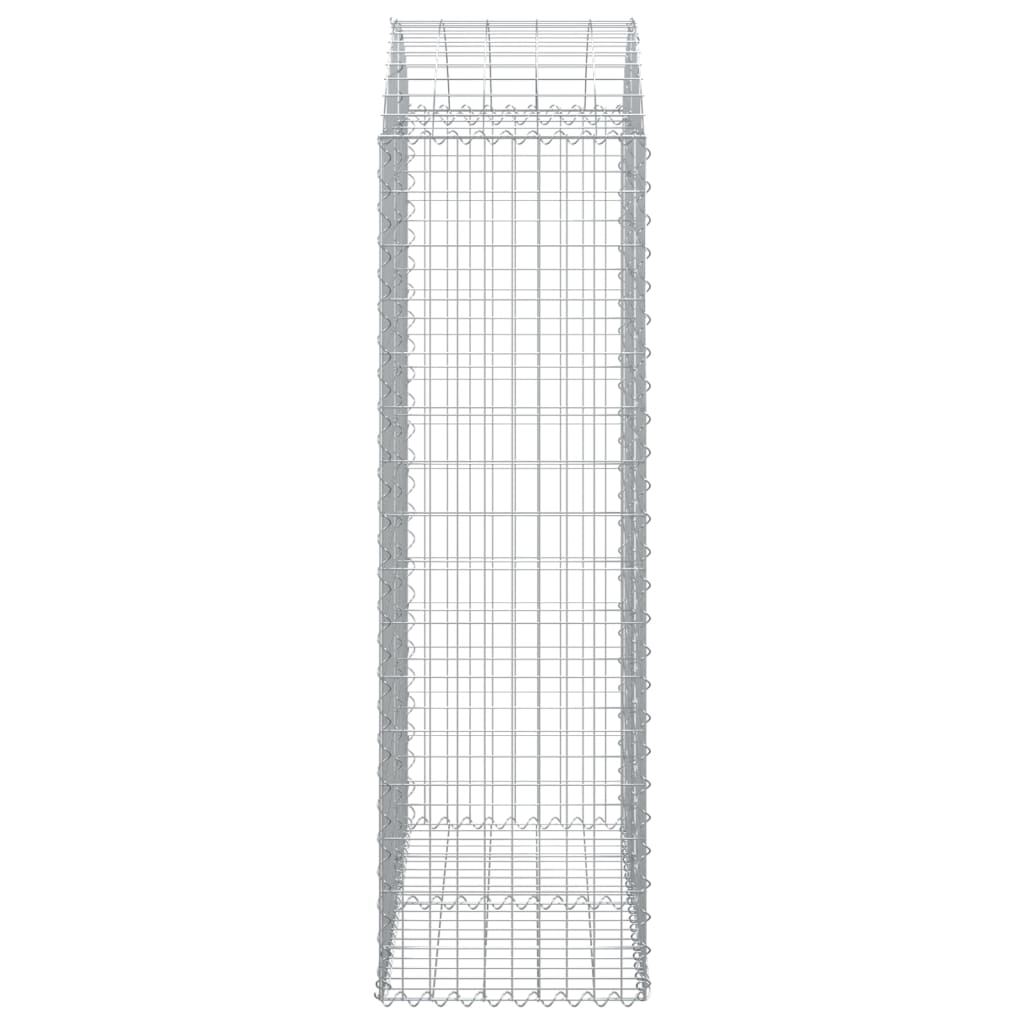 vidaXL Gabione mit Hochbogen 100x50x160/180 cm Verzinktes Eisen